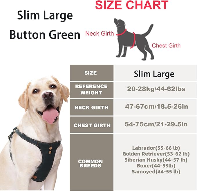 Dog Harness, No Pull Dogs Harness and Multi-Function Leash Set for Medium Dogs Easy Walk Everyday Adjustable Soft Dog Vest Harness Fashionable Dog Accessories Denim Vintage Green-Button-Slim Large