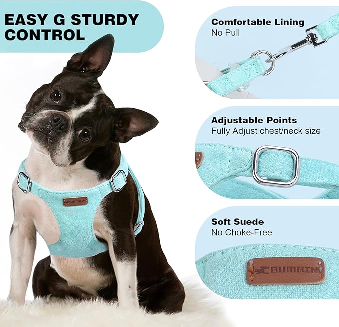 Dog Harness and Leash Set, XXS No Pull Adjustable Puppy Harness with Multifunction Pink Dog Leash and Dog Collar, Soft No Choke Escape Proof Pet Harness Vest for Small Dogs and Cats (Mint Green, M)