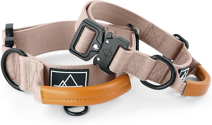 Made to ROAM Premium Explorer Control Collar - Adjustable Heavy Duty Nylon Dog Collar with Quick-Release Metal Buckle and Handle (Utah Glow, Control Size 5)