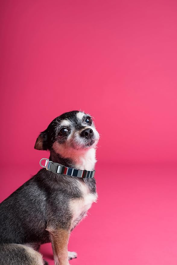 Dog Collar, Cute Multi Stripe Pattern, Soft and Adjustable Collar with Quick Release Buckle (XS (Neck 9-13", Width 3/8"), Rainbow Navy)