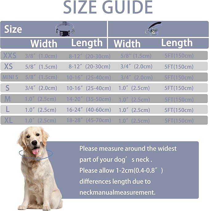 Reflective Dog Collar with Safety Locking Buckle, Adjustable Soft Breathable Nylon Collars for Small, Medium and Large Dogs(Collar+Leash M Gray)