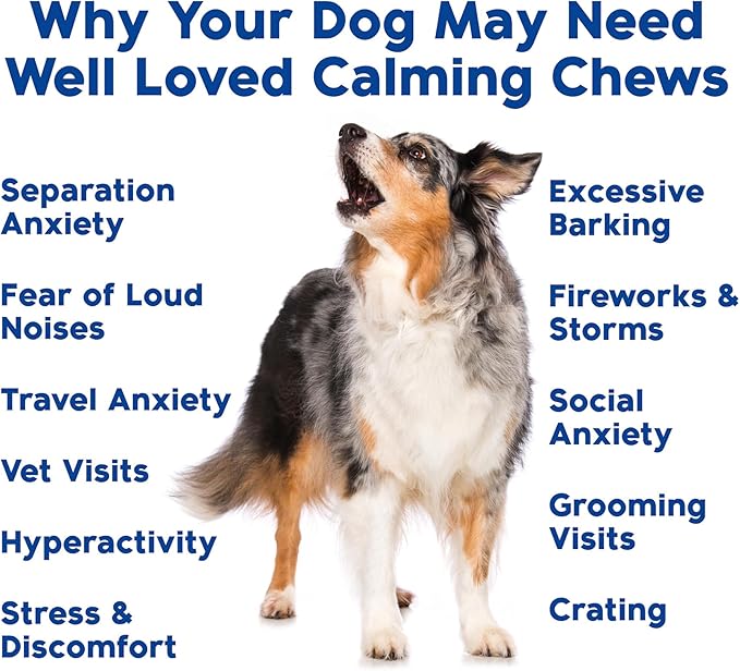 Calming Chews for Dogs - Dog Calming Chews, Made in USA, Vet Recommended, Behavior Support with Melatonin & Hemp, Stress, Separation, Fireworks, Travel, Extra Strength