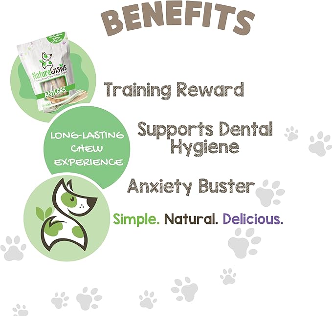 Nature Gnaws Antlers for Dogs (8oz) - Mix of Elk and Deer Antler - Variety of Split and Whole Pieces - Long Lasting for Aggressive Chewers and Large Dogs