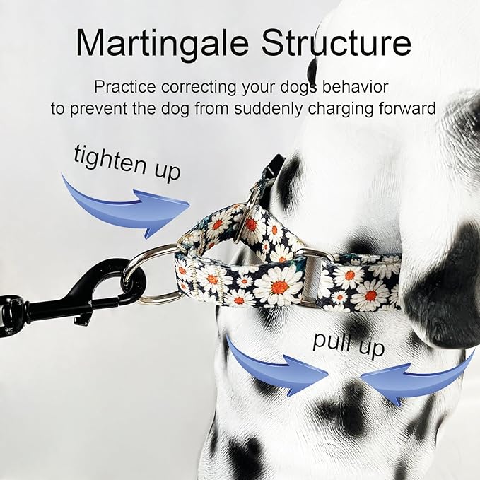 Quick Release Dog Collar Martingale Adjustable Nylon Soft Flower Dog Collars with Buckle (Daisy,XLarge)