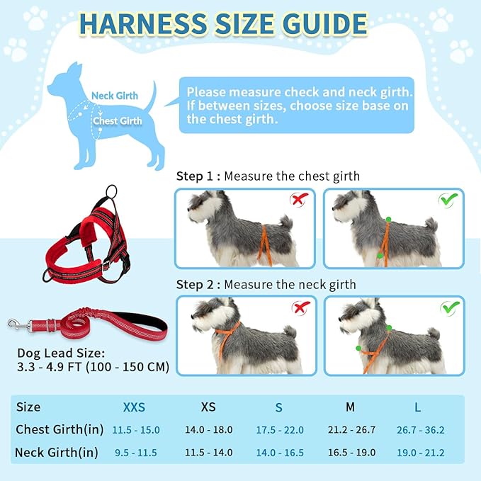 SlowTon No Pull Small Dog Harness and Leash Set, Puppy Soft Vest Harness Neck & Chest Adjustable, Reflective Lightweight Harness & Anti-Twist Pet Lead Combo for Small Medium Dogs (R-Front Clip,XXS)