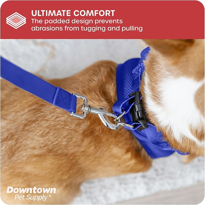 Downtown Pet Supply Step in Dog Harness for Teacup Dogs & Cats No Pull, XX-Small, Blue - Adjustable Harness with Padded Mesh Fabric and Reflective Trim - Buckle Strap Harness for Dogs