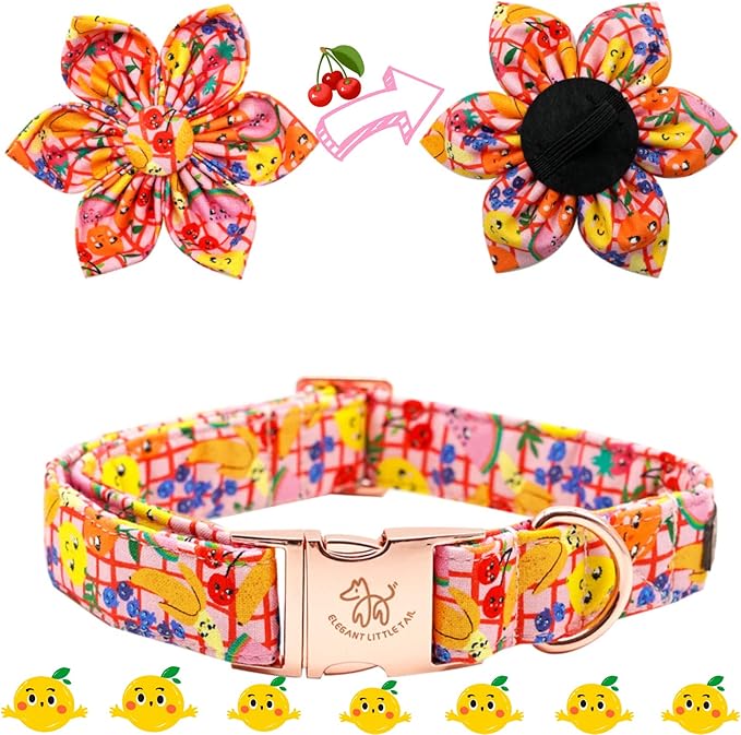 Elegant Little Tail Girl Dog Collar with Flower - Summer Flower Collar for Small to Large Dogs