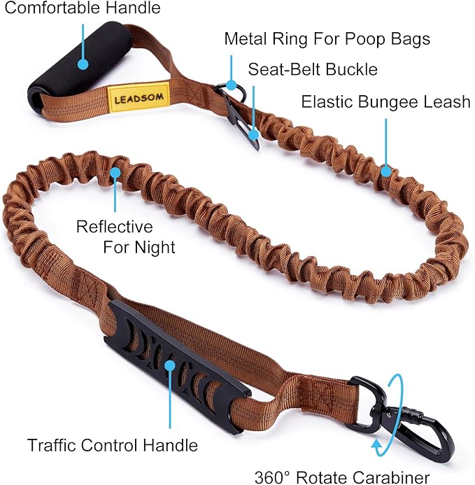 6FT Highly Reflective Heavy Duty Elastic Bungee Medium and Large Dog Leash Shock Absorbing with Comfortable Padded Handle and Traffic Handle Suitable for Training