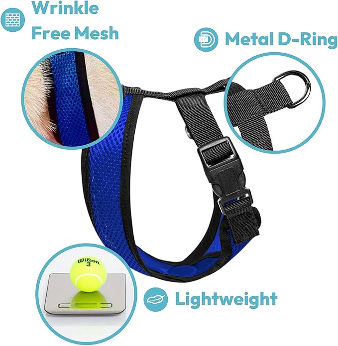 Gooby Comfort X Head-in Harness – Medium Dog Harness (9–15 lbs), Turquoise, No Pull, Choke-Free Design