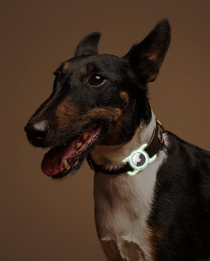 Waterproof Airtag Dog Collar Holder, Silicone & ABS Airtag Holder for Dog & Cat Collars, Ultra-Durable, Lightweight and Protective Airtag Case (Luminous, Regular)