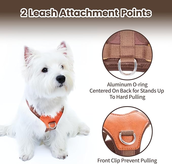 No-Pull No-Choke Dog Harness and Leash Set - Adjustable Soft Padded Vest, Lightweight Retro Design for Small Medium Dogs and Puppies, Easy Control and Comfortable Walk (Blue, L)