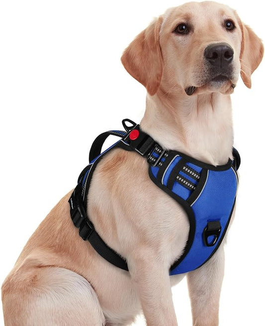 rabbitgoo Dog Harness for Large Dogs, No Pull Pet Harness with Soft Padded Handle, Adjustable Reflective Vest with 3 Buckles, Easy Walking Harness with 2 Leash Clips, Blue, M