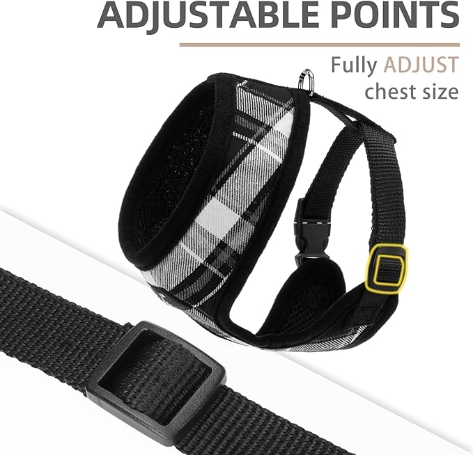 PUPTECK Soft Mesh Dog Harness and Leash Set Pet Puppy Cat Comfort Padded Vest No Pull Harnesses, Black, M