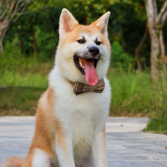 Faleela Soft &Comfy Bowtie Dog Collar,Detachable and Adjustable Bow Tie Collar,for Small Medium Large Pet (L, Brown)