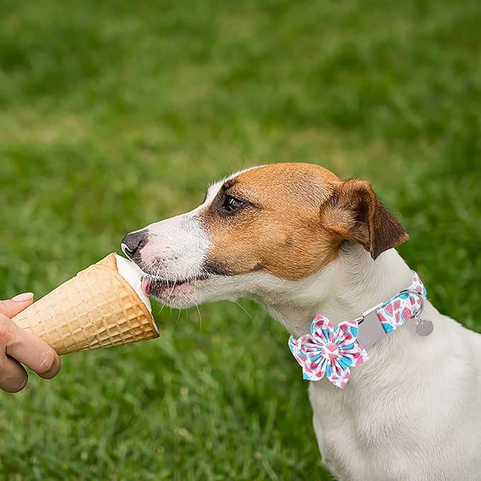 Dog Collar with Flower, Durable Comfortable Cotton Cute Flower Collar for Puppy Girl Boy Dog or Cat, Summer Dog Collar with Metal Buckle, XS