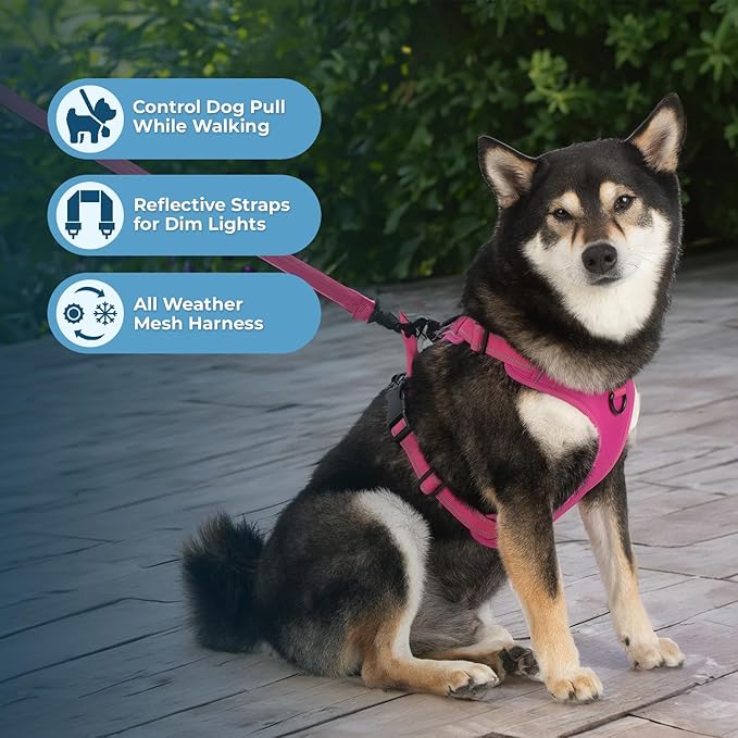 No Pull Dog Harness for Large Dogs, Dual Leash Attachments, Adjustable Soft but Strong Pet Harness with 3M Reflective Technology, Fuchsia Nylon, XL (Chest: 28-37")