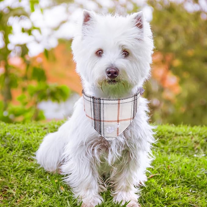 EXPAWLORER Dog Collar and Leash Set - Embroidery Pawprints Plaid Medium Dog Collar and Leash Set, Cute Dog Bandana Collar, Dog Collars for Small Medium Dogs Cats Girl Boy, Cream Medium
