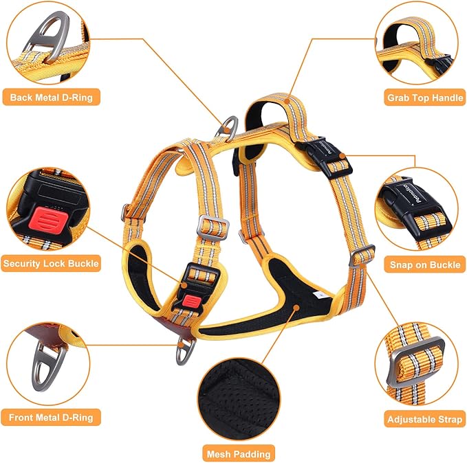 Petmolico No Pull Dog Harness Leash Set, Front and Back Metal Clips Easy Walk Dog Harness with Handle for Training Outdoor Adventures, Yellow Medium