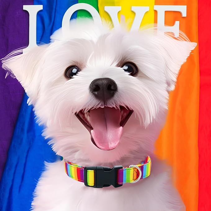 Tunkoo Rainbow Dog Collar, Cute Adjustable Yellow Collar for LGBT Pride Month, Dog Collar with Strong Plastic Buckle - for Small Medium Large Pets, S