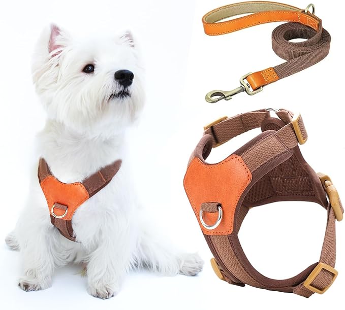 No-Pull No-Choke Dog Harness and Leash Set - Adjustable Soft Padded Vest, Lightweight Retro Design for Small Medium Dogs and Puppies, Easy Control and Comfortable Walk (Brown, L)