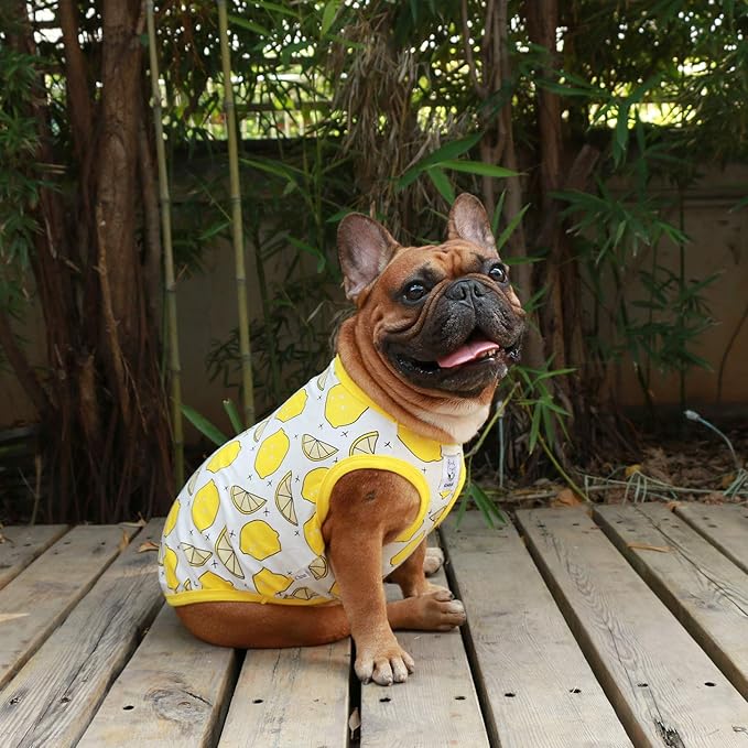 iChoue 2pcs French Bulldog Fruits Pattern Shirts 100% Breathable Cotton Tank Tops Vests Clothes for Frenchie Dogs, Lemon and Watermelon, Large
