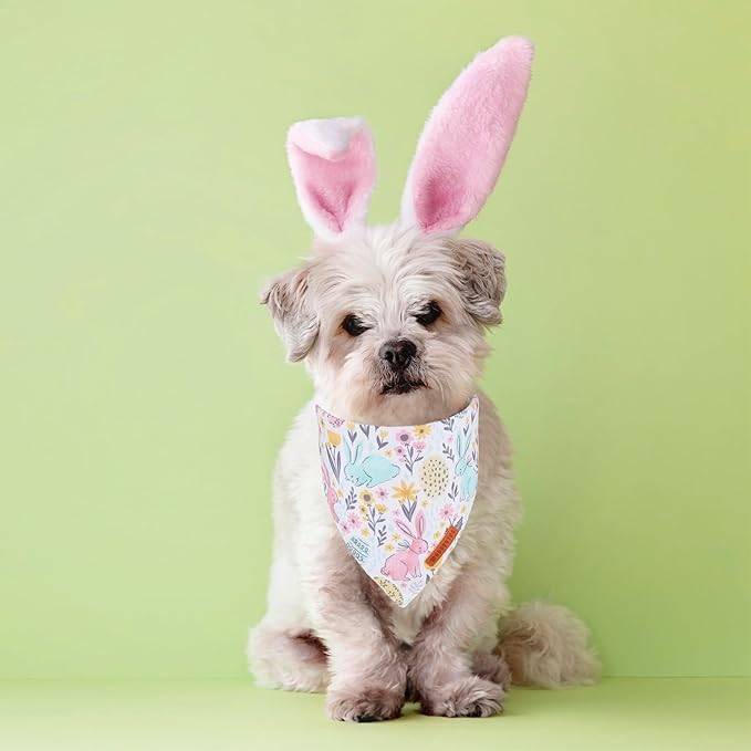 ADOGGYGO Easter Dog Bandana, Carrot Rabbit Pet Scarf, Premium Durable Fabric, Easter Bandanas for Small Dogs Pets (Small)