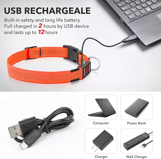 USB Rechargeable LED Dog Collar - Light Up Dog Collar for Small Dogs, Reflective Adjustable Safety Dog Collar Lights for Night Walking (OrangeⅢ, Small)