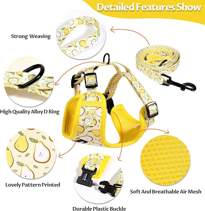 Dog Harness and Leash Set, Adjustable Dog Harness, Dog Leash, No Pull No Choke Puppy Harnesses for Walking Training for Small, Medium, Large Pet