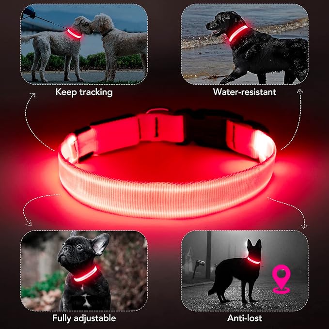 Light Up Dog Collar at Night, Led Dog Collar Adjustable, Lighted Dog Collar Rechargeable Waterproof, Dog Lights for Night Walking, Glow in The Dark Dog Collars Light for Medium Large Dogs PM