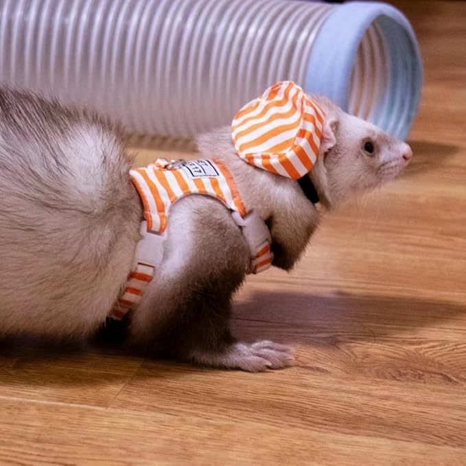 Ferret Harness and Leash - Adjustable Soft Cotton Small Pet Harness with Safe Bell, No Pull Comfort Padded Vest for Ferret, Guinea Pigs, Chinchilla and Similar Small Animals (Orange)