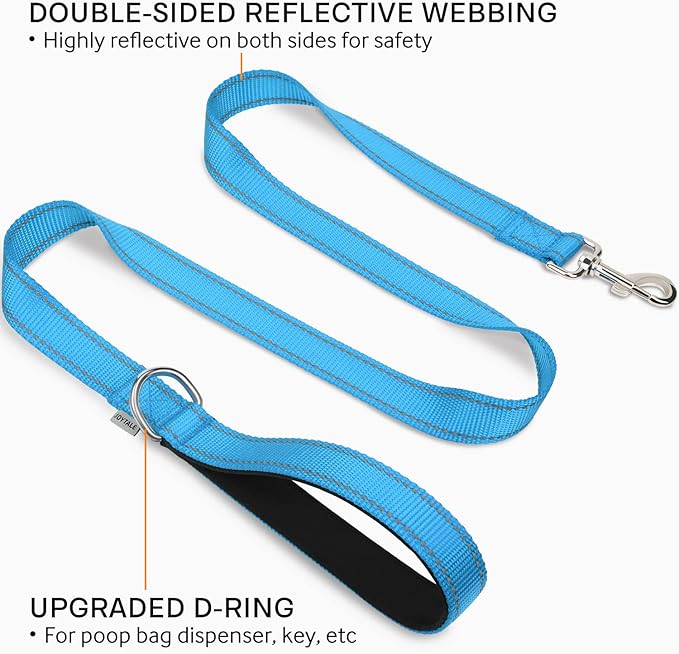 Joytale Double-Sided Reflective Dog Leash, 6 FT/5 FT/4 FT, Padded Handle Nylon Heavy Duty Leashes for Small & Medium Dogs Walking, Sky Blue, 4FT