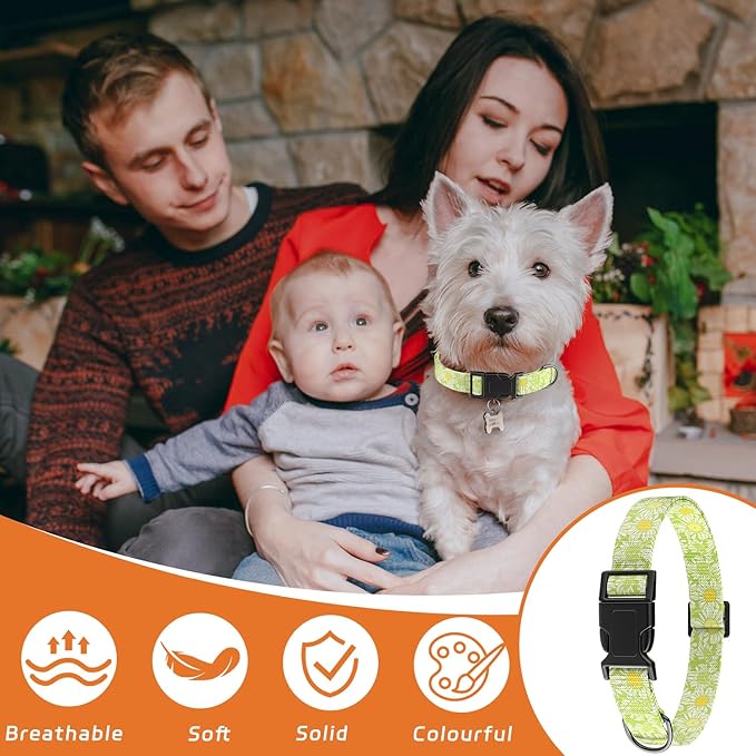 Dog Collar, Daisy Floral Puppy Collar for Boys Girls Small Medium Large Dogs, Adjustable Soft Pet Collar Fancy Floral with Quick Release Buckle for Males Females, Light Green Daisy,XS