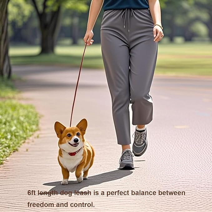 6 FT Puppy Leashes, Strong Traditional Style Leash with Easy to Use Collar Hook,Dog Lead Great for Small and Medium and Large Dog (Brown, 5/8 in x 6 ft)