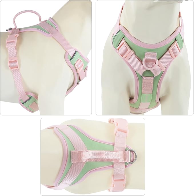No Pull Dog Harness Adjustable Soft Padded Pet Vest with Control Handle Adorable Daily Harness for Dogs（Mint Green L）