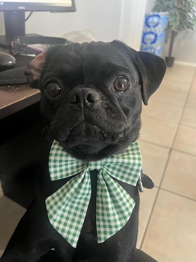 Lionet Paws Dog Collar with Sailor Bow, Durable Adjustable and Comfortable Green Bow Tie Collar for Dogs, Small, Neck 10-16in