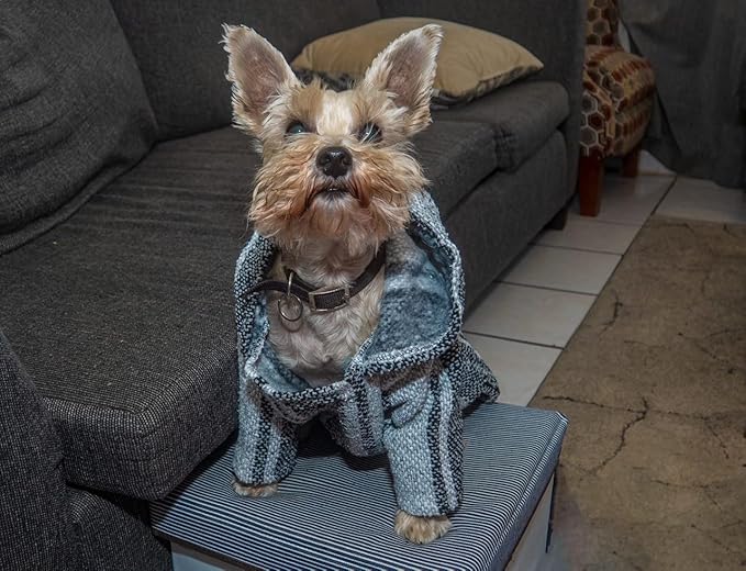 Mexican Dog Poncho Doggo Hoodie Baja Ponchos Blanket for Dogs Costume Pup Crew Pajamas Chihuahua Sweater Clothes from Small, Medium to Big Dog Made in Mexico with Recycled Fabric (5, Gray)