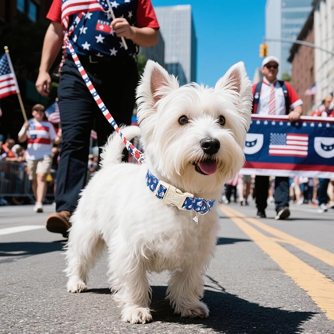 USA Flag Dog Collar, 4th of July Comfortable Cotton Dog Collars, American Flag Collar for Medium Girl Boy Dogs, Patriotic Collars with Sailboats Pattern