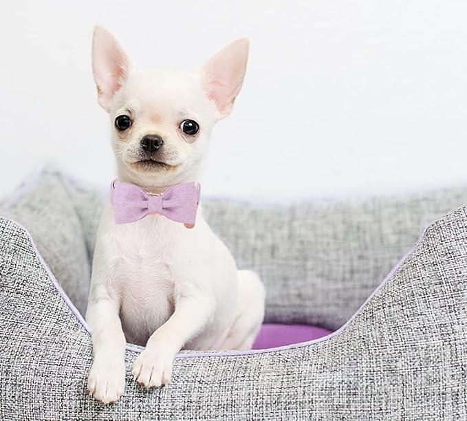 DOGWONG Cotton Dog Collar with Bow, Purple Pet Collar Durable Adjustable Puppy Dog Collar for Small Medium Large Dogs