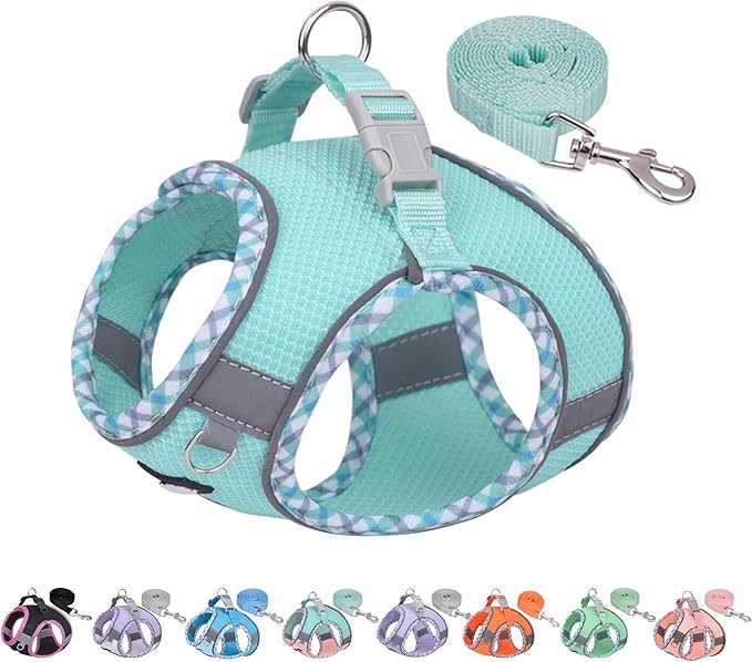 AIITLE XXS Dog Harness & Leash Set - Breathable Reflective No-Choke Small Dog Harness for Teacup Puppies, Indoor/Outdoor Use - Boston Terrier, Maltese, Chihuahua (Turquoise, XXS)