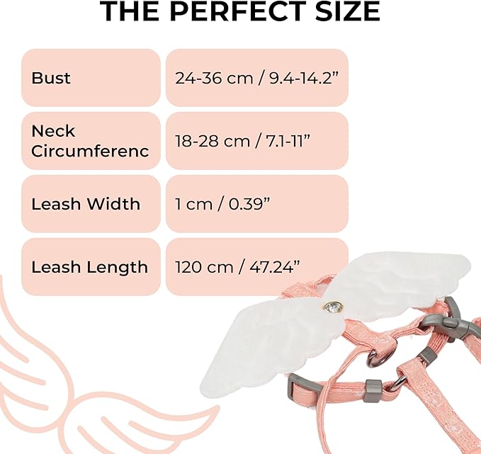 Angel Wings Pet Harness and Leash Set for Dogs & Cats, Adjustable I-Shaped Chest Strap, Padded Anti-Break Rope