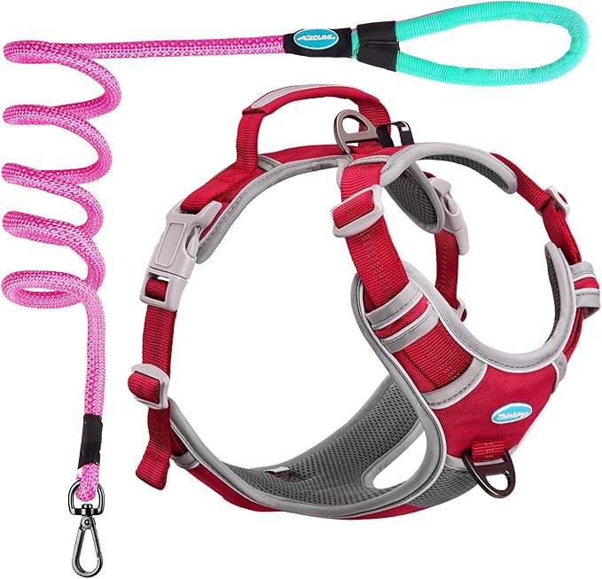 ThinkPet No Pull Harness Set Breathable Sport Harness with Handle - Reflective Padded Dog Safety Vest with Reflective Neon Dog Leash S Harness Leash Pack Red