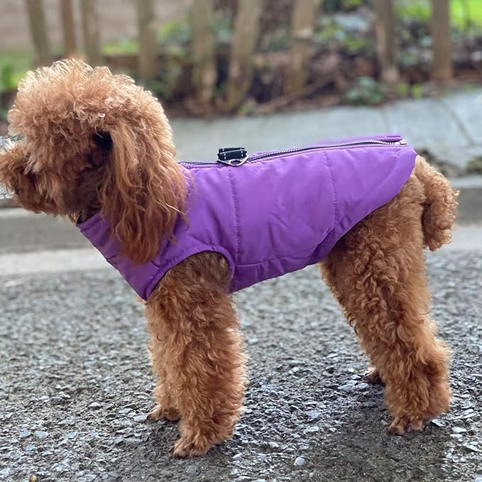 Purple Dog Winter Vest with Cotton Lining, Waterproof Ultra Warm Coat, Windproof Zippered Jacket, Breathable Soft Coat for Small to XXXL Dogs