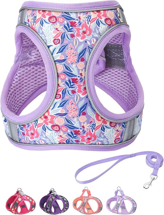 Step in Dog Harness and Leash Set, Flower Adjustable Easy Walk Puppy Harnesses, Soft Mesh Pet Vest Harness Small Size Adjustable No Pull Dog Harness for Small Dogs and Cats(Light Purple, XS)