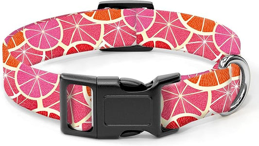 Dog Collar, Cute Dog Collar for Small Medium Large Dogs, Personalized Adjustable Soft Pet Collars with Quick Release Buckle for Walking Running, Cute Orange Lemon