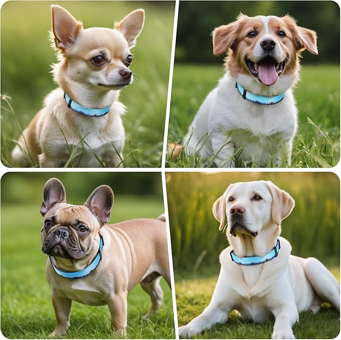 Timos Dog Collar, Adjustable Soft Dog Collar for Small Medium Large Dogs,Patterned Puppy Collars with Quick Release Buckle for Boy and Girl Female Dogs,L Length 15.94''-25.59'