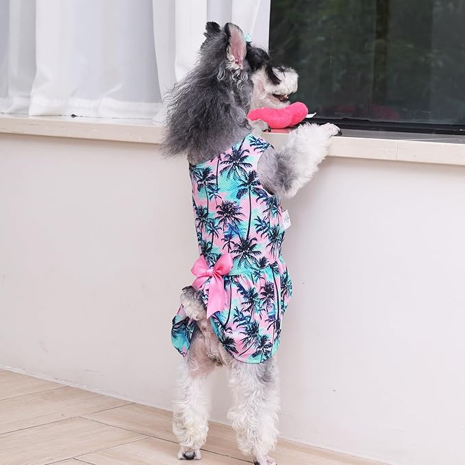 CuteBone Dog Mesh Dress Puppy Sundress Pet Outfit Summer Fashion for Small Dogs Girl Cat Clothes BF35L