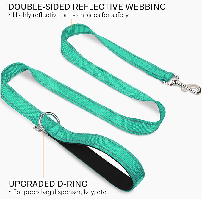 Joytale Double-Sided Reflective Dog Leash, 6 FT/5 FT/4 FT, Padded Handle Nylon Heavy Duty Leashes for Medium & Large Dogs Walking, Teal, 5FT