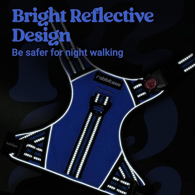 rabbitgoo Dog Harness for Large Dogs, No Pull Pet Harness with Soft Padded Handle, Adjustable Reflective Vest with 3 Buckles, Easy Walking Harness with 2 Leash Clips, Blue, L