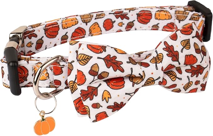 ADOGGYGO Thanksgiving Dog Collar with Bowtie, Fall Pumpkin Pet Thanksgiving Collars with Detachable Bow, Adjustable Fall Collars for Small Medium Large Dogs (Small)