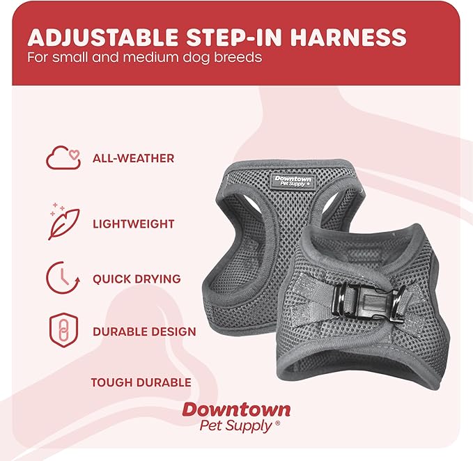 Downtown Pet Supply Step in Dog Harness for Small Dogs No Pull, Large, Light Gray - Adjustable Harness with Padded Mesh Fabric and Reflective Trim - Buckle Strap Harness for Dogs